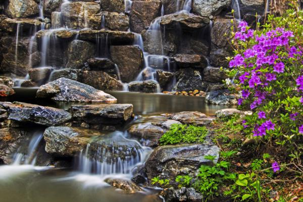 韓國著名景點南怡島已入春百花盛開